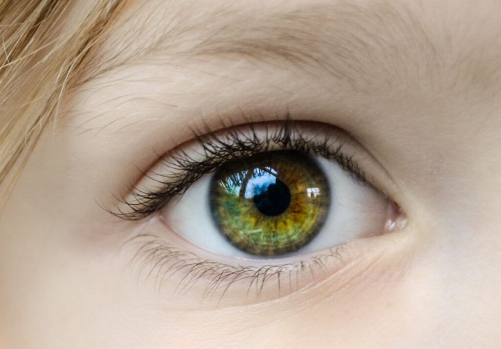 Ojo sano e hidratado
