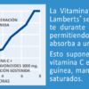 Estudio Vitamina C liberación sostenida Lamberts 180 tabletas 1000 mg