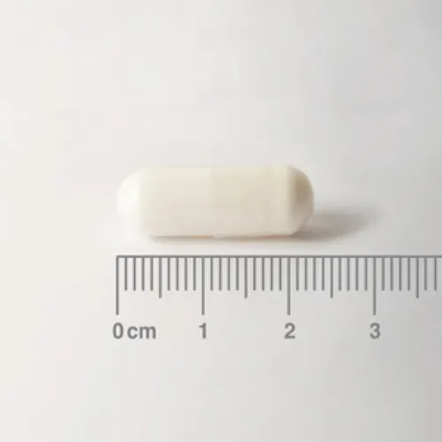 L-Carnitina Lamberts 500 mg en forma libre 60 cápsulas detalle de las cápsulas