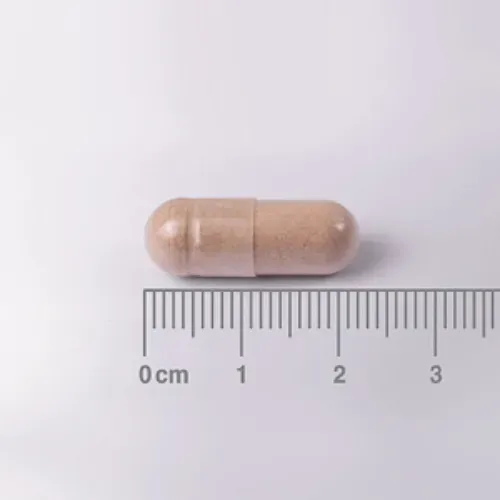 L-Teanina Lamberts 200 mg en forma libre 60 cápsulas detalle de las cápsulas L-Teanina Lamberts 200 mg en forma libre 60 cápsulas detalle de las cápsulas