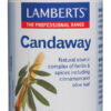Candaway Lamberts extractos de plantas y especias 60 tabletas Candaway Lamberts extractos de plantas y especias 60 tabletas