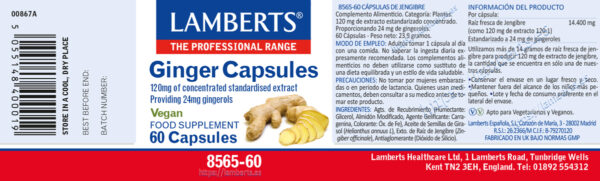 Jengibre Lamberts 14.400 mg 60 cápsulas detalle de la etiqueta Jengibre Lamberts 14.400 mg 60 cápsulas detalle de la etiqueta