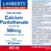 Vitamina B5 Lamberts 500 mg ácido pantoténico detalle de la etiqueta Vitamina B5 Lamberts 500 mg ácido pantoténico detalle de la etiqueta