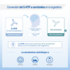 5-HTP Lamberts 100 mg con extracto de Griffonia 60 tabletas detalle 5