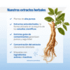 Ashwagandha Advance Lamberts 60 cápsulas detalle 5 Ashwagandha Advance Lamberts 60 cápsulas detalle 5
