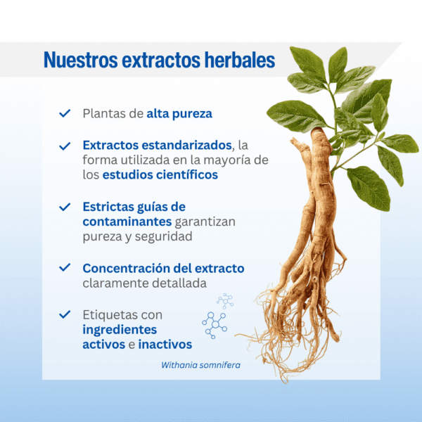 Ashwagandha Advance Lamberts 60 cápsulas detalle 5 Ashwagandha Advance Lamberts 60 cápsulas detalle 5