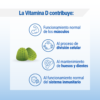 Vitamina D3 1000 UI Lamberts en gominolas sabor manzana detalle 6 Vitamina D3 1000 UI Lamberts en gominolas sabor manzana detalle 6