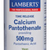 Vitamina B5 Lamberts 500 mg ácido pantoténico Vitamina B5 Lamberts 500 mg ácido pantoténico