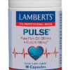 Lamberts PULSE® con Omega 3 y Coenzima Q10 90 cápsulas Lamberts PULSE® con Omega 3 y Coenzima Q10 90 cápsulas