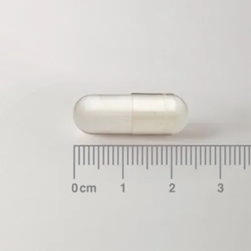 Acetil L-Carnitina Lamberts 500 mg 60 cápsulas detalle de las cápsulas