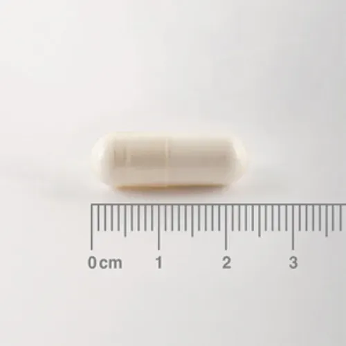 BCAA Lamberts aminoácidos ramificados 180 cápsulas detalle de las cápsulas BCAA Lamberts aminoácidos ramificados 180 cápsulas detalle de las cápsulas