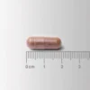 Cogni-Focus Lamberts con extracto de galangal 30 cápsulas detalle de las cápsulas