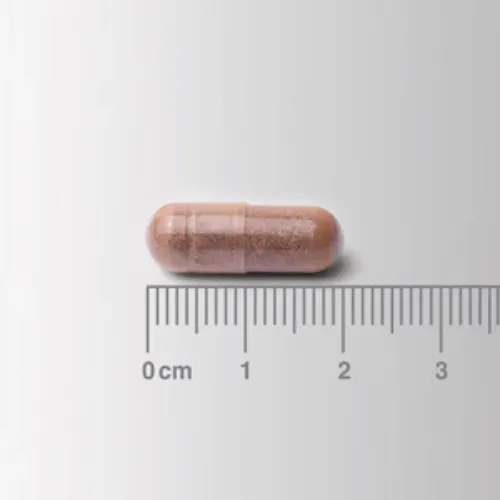 Cogni-Focus Lamberts con extracto de galangal 30 cápsulas detalle de las cápsulas