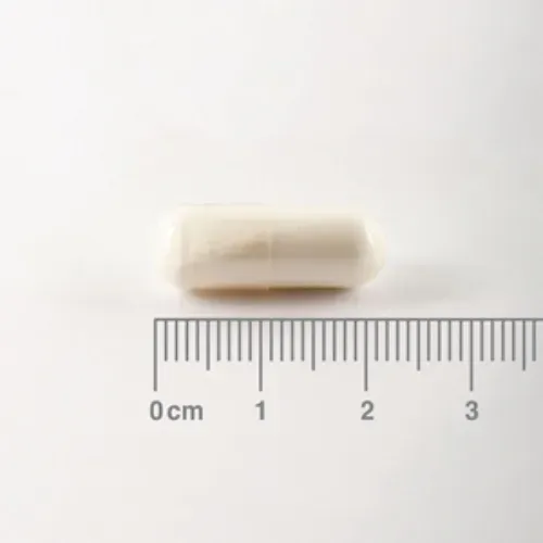 L-Glutamina 500 mg Lamberts 90 cápsulas detalle de las cápsulas L-Glutamina 500 mg Lamberts 90 cápsulas detalle de las cápsulas