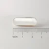 L-Ornitina HCl 500 mg Lamberts 60 cápsulas detalle de las cápsulas L-Ornitina HCl 500 mg Lamberts 60 cápsulas detalle de las cápsulas