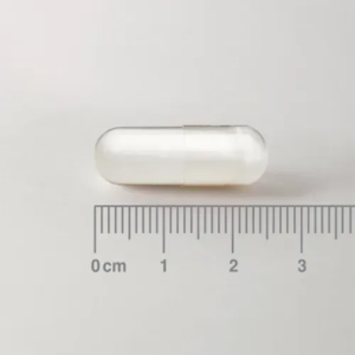 L-Ornitina HCl 500 mg Lamberts 60 cápsulas detalle de las cápsulas L-Ornitina HCl 500 mg Lamberts 60 cápsulas detalle de las cápsulas