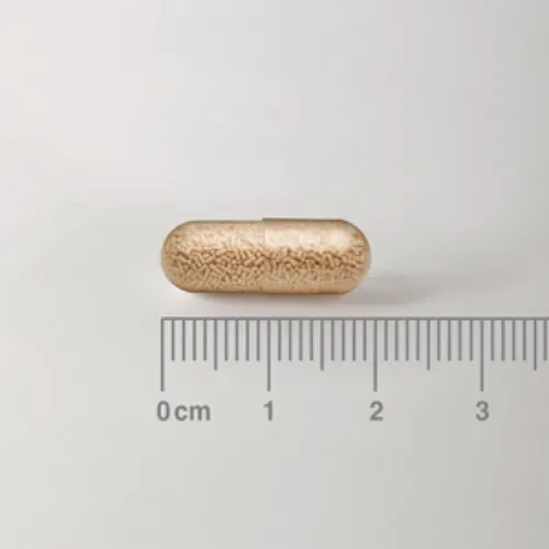 Biome Balance Antibiotics Lamberts 30 cápsulas detalle de las cápsulas