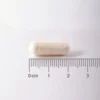 Taurina Lamberts 500 mg 60 cápsulas detalle de las cápsulas