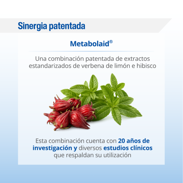 Metabolic Weight Support Lamberts 60 cápsulas detalle 7