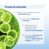 Omega 3 vegano líquido Lamberts 150 ml detalle 4