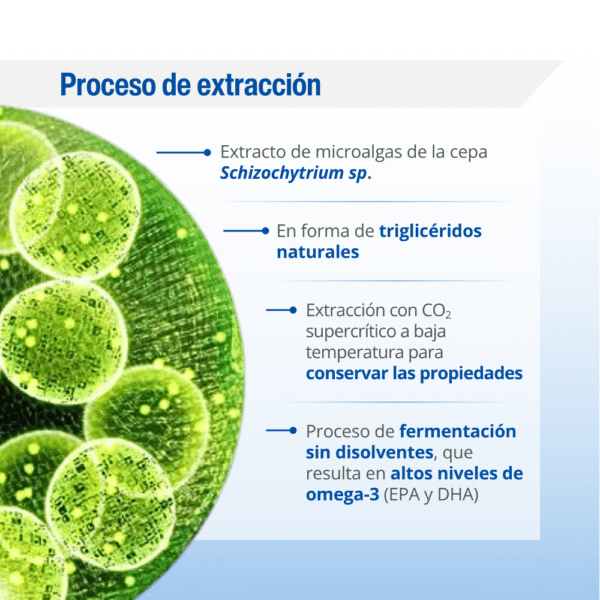 Omega 3 vegano líquido Lamberts 150 ml detalle 4