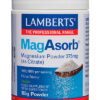 MagAsorb Citrato de magnesio Lamberts en polvo 165 g MagAsorb Citrato de magnesio Lamberts en polvo 165 g