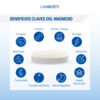 MagAsorb Citrato de magnesio Lamberts en polvo 165 g detalle 3 MagAsorb Citrato de magnesio Lamberts en polvo 165 g detalle 3