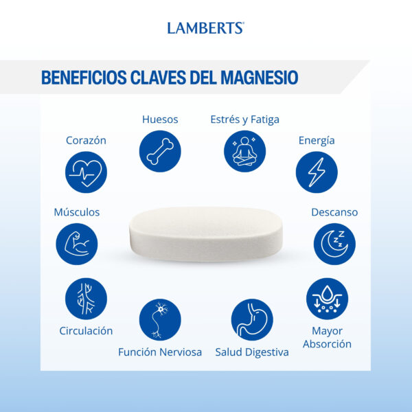 MagAsorb Citrato de magnesio Lamberts en polvo 165 g detalle 3 MagAsorb Citrato de magnesio Lamberts en polvo 165 g detalle 3
