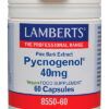 Pycnogenol Lamberts 40 mg 60 cápsulas Pycnogenol Lamberts 40 mg 60 cápsulas